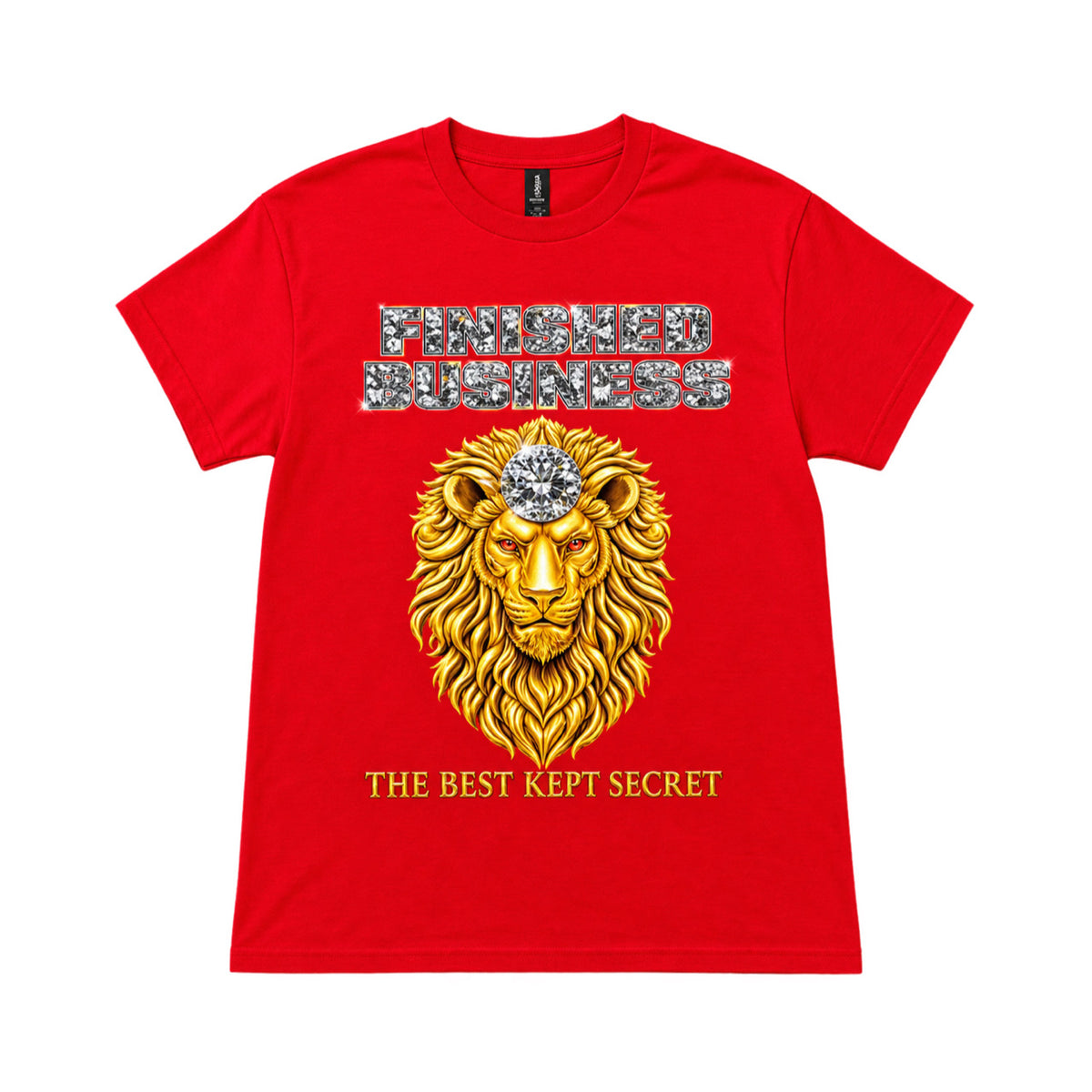Book & T-Shirt Bundle